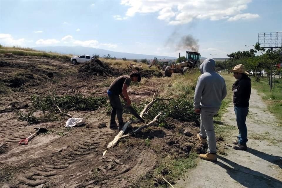 El terreno que cedió Tlajomulco a la Guardia Nacional es Área de Conservación, para espacios verdes, abiertos y recreativos. El viernes la Guardia Nacional derribó árboles. Hoy la zona está clausurada.