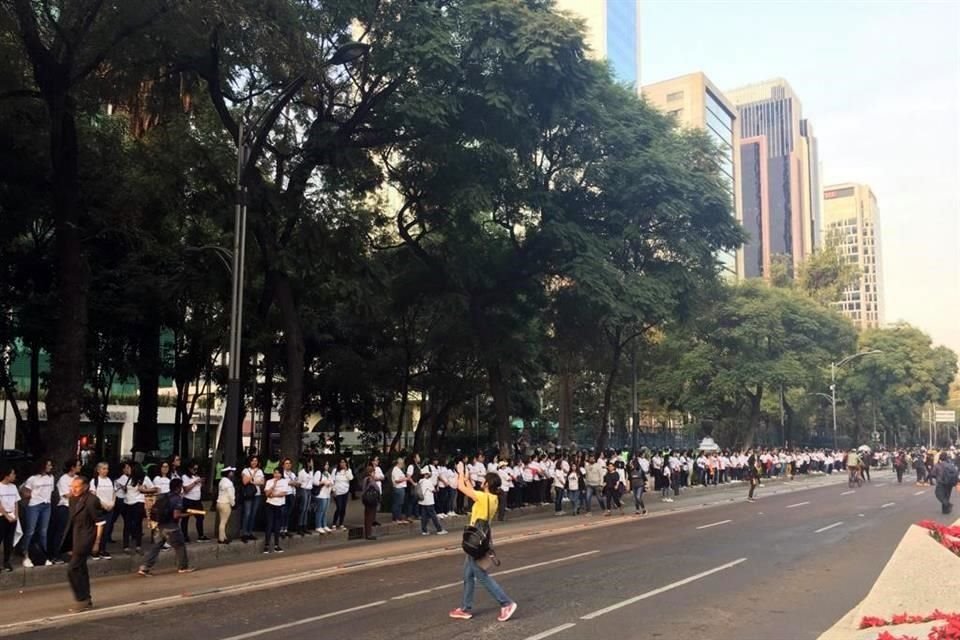 El Cinturón de Paz se comienza a desplegar previo a la marcha en el Paseo de la Reforma.