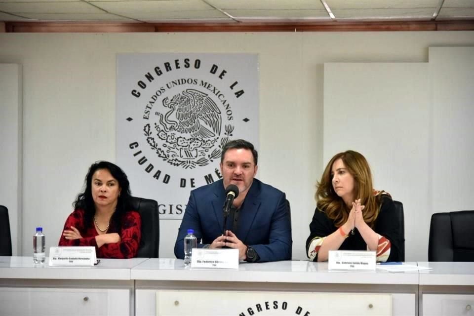 Se prevé una discusión en comisiones de los proyectos de dictamen que elaboraron el panista Federico Döring y la diputada Chavira.