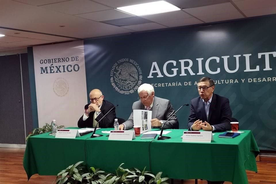 Tan sólo en el cultivo de frijol, se tuvo una pérdida de 25 por ciento de la producción del ciclo primavera-verano de 2019.