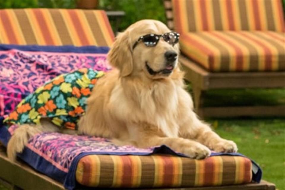 Cosmo llegó a 'Fuller House' en el episodio cuatro de la primera temporada.