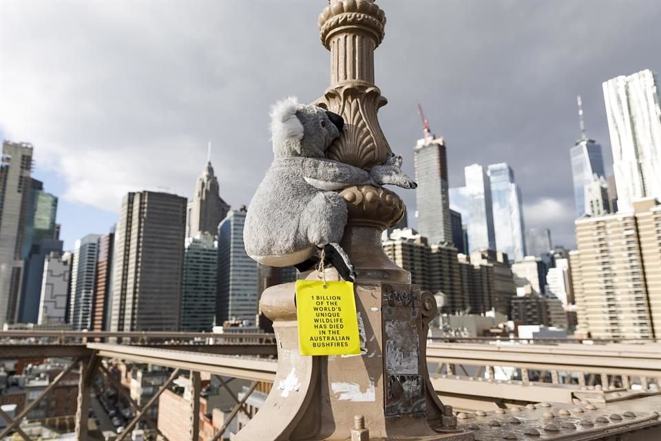 Los animales de felpa colocados en distintas estructuras de la ciudad de Estados Unidos buscan recaudar fondos para Australia.