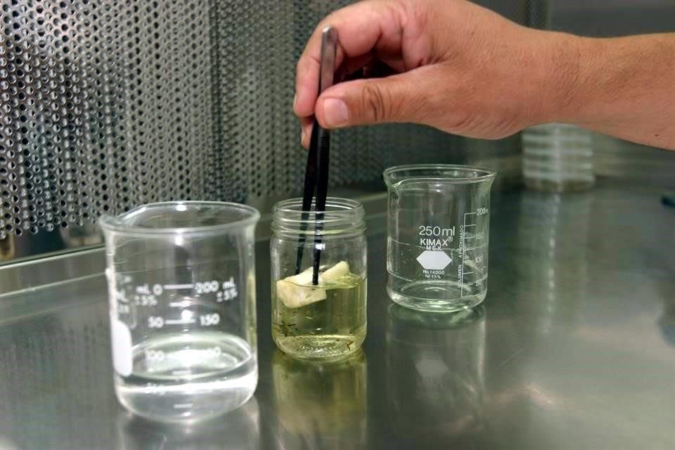 La captación por bebidas alcohólicas fue de 24.5 millones de pesos.