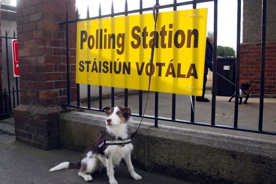Un perro espera a su dueña afuera de uno de los centros de votación de Irlanda este sábado.