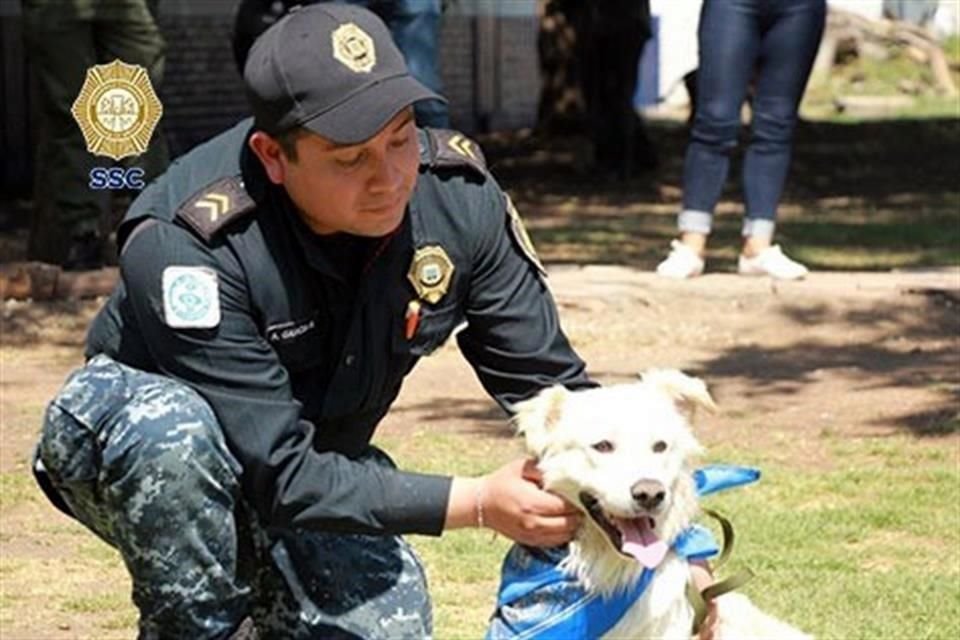 Actualmente, la BVA atiende a 122 perros y 17 gatos.