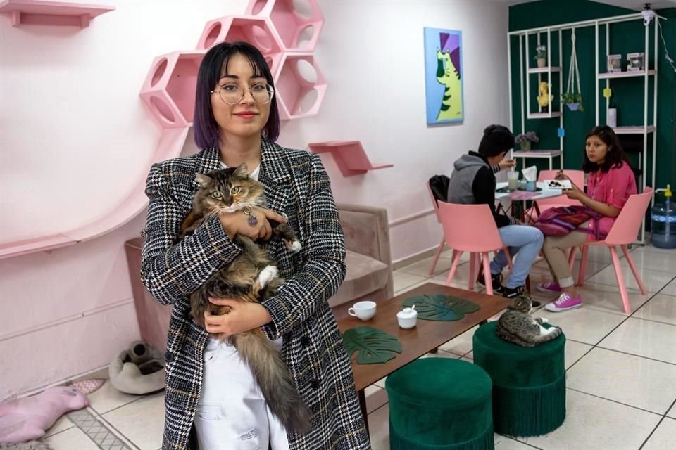 La propuesta de valor del lugar es la posibilidad de acariciar y jugar con los siete gatos que habitan el café.