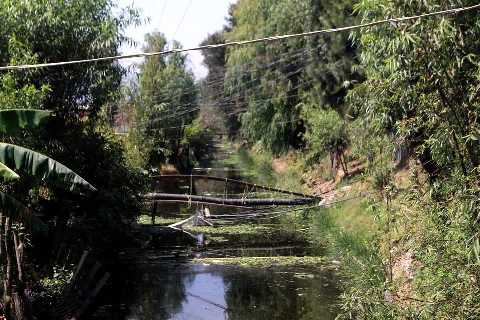 La Coordinación de Pueblos, Barrios Originarios y Colonias de Xochimilco pidió a la Jefa de Gobierno, Claudia Sheinbaum, la cancelación inmediata del puente vehicular que se construye en Periférico Sur y Canal Nacional