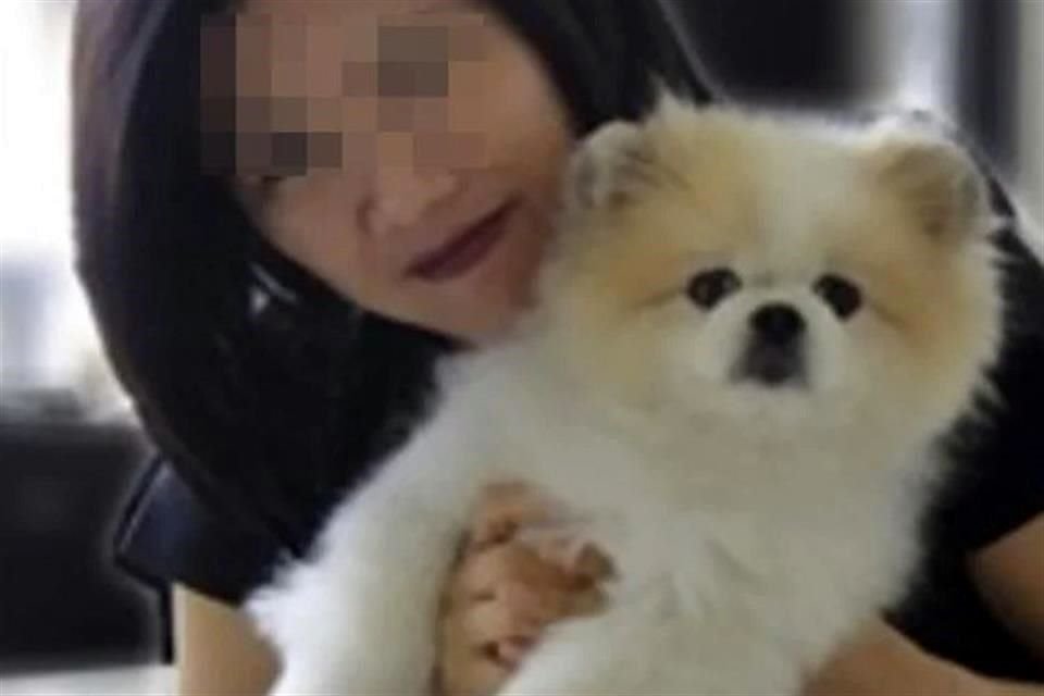 El perro murió después de la cuarentena y superar el covid-19, según las autoridades.