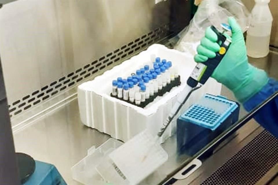 En el caso de Biomédica, la prueba se ofrece en 3 mil 300 pesos.