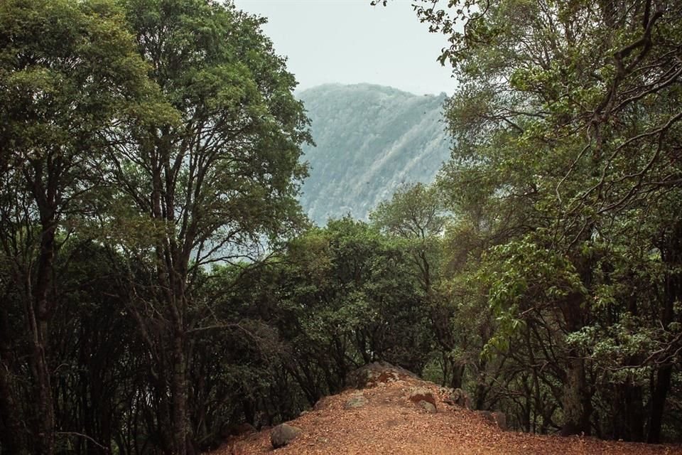 A partir de hoy y hasta nuevo aviso la Barranca de Río Santiago y Río Verde, así como los ingresos principales de Oblatos y Huentitán no recibirán a paseantes.