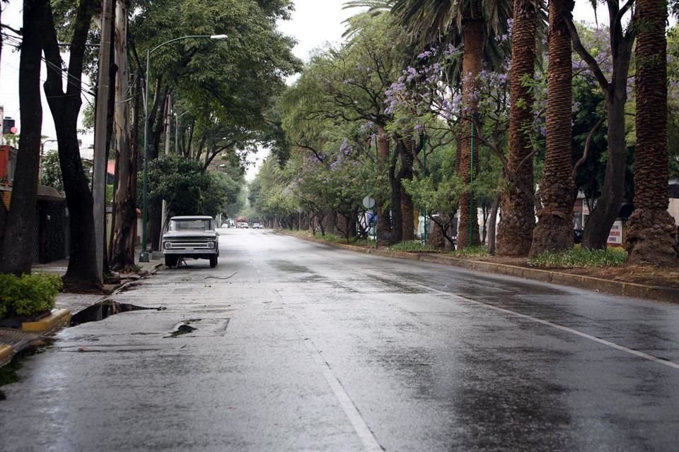 La lluvia limpió parcialmente el aire de la CDMX.