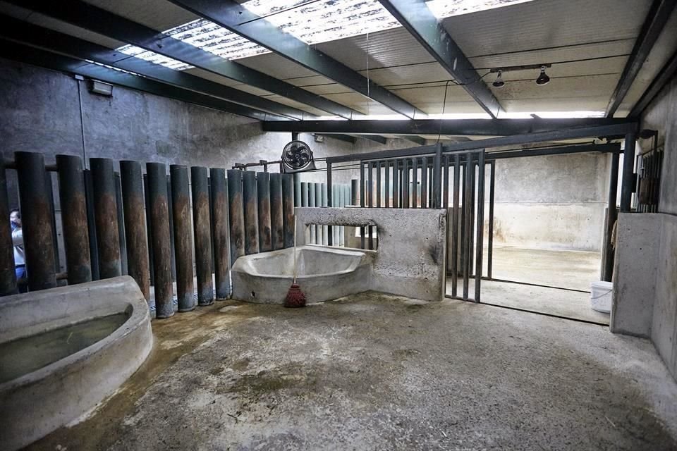 Así luce el dormitorio de los rinocerontes en el Zoológico Guadalajara.