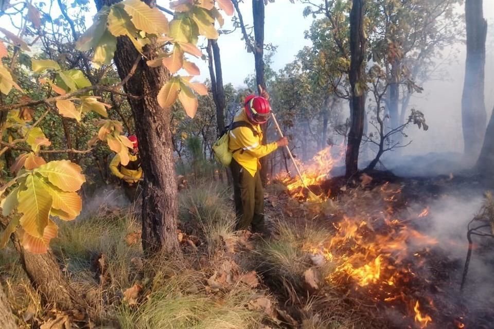 Entre el 18 de enero y hoy, este sería el cuarto incendio en el paraje Las Canoas.