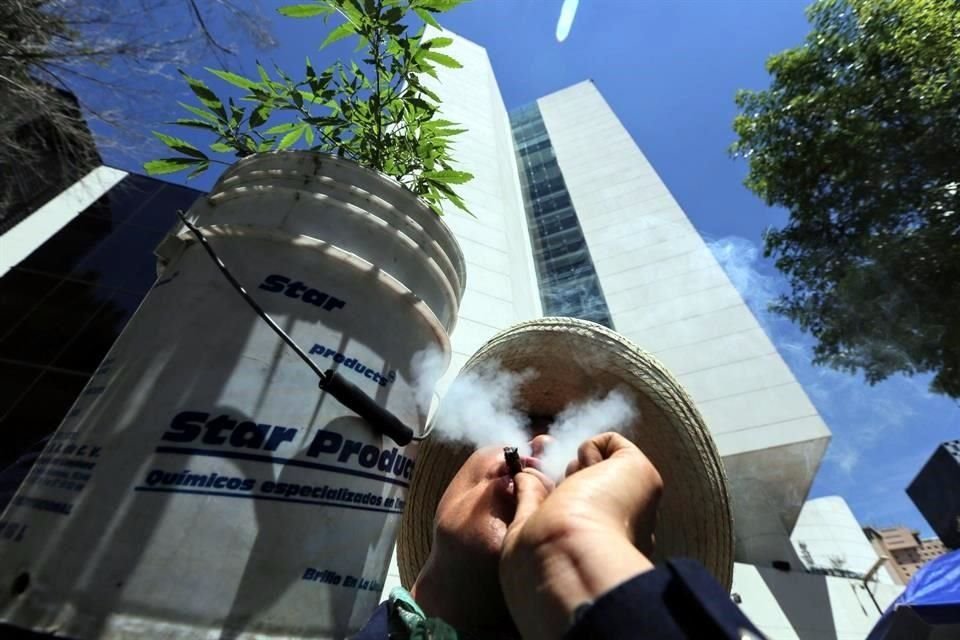 De acuerdo con el dictamen, se elimina necesidad de permiso para consumo en los domicilios.