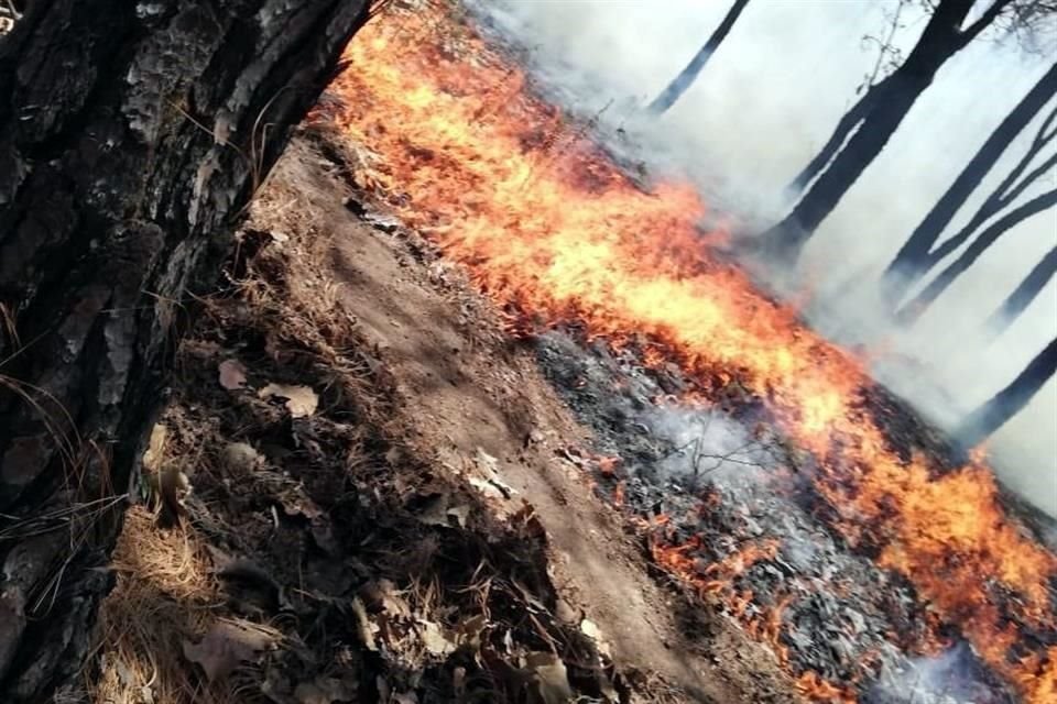 A dos meses de haber iniciado el estiaje, en la Entidad se han presentado 209 incendios, 25.6% menos que en el mismo periodo de 2019. 