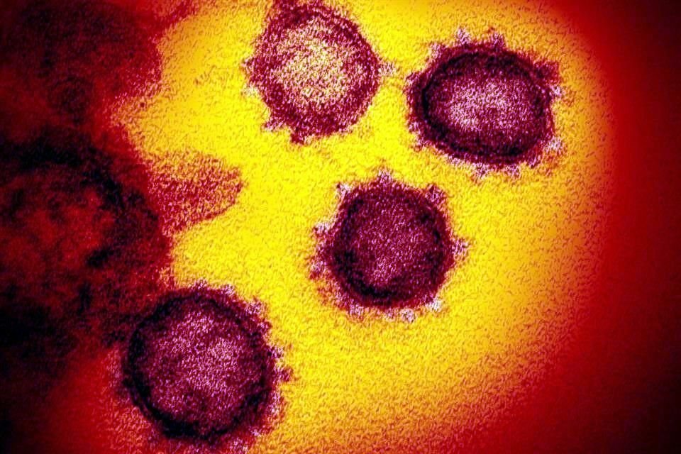 Médicos detectaron el coronavirus en el semen de seis de 38 hombres hospitalizados a los que les confirmaron la infección mediante exámenes.