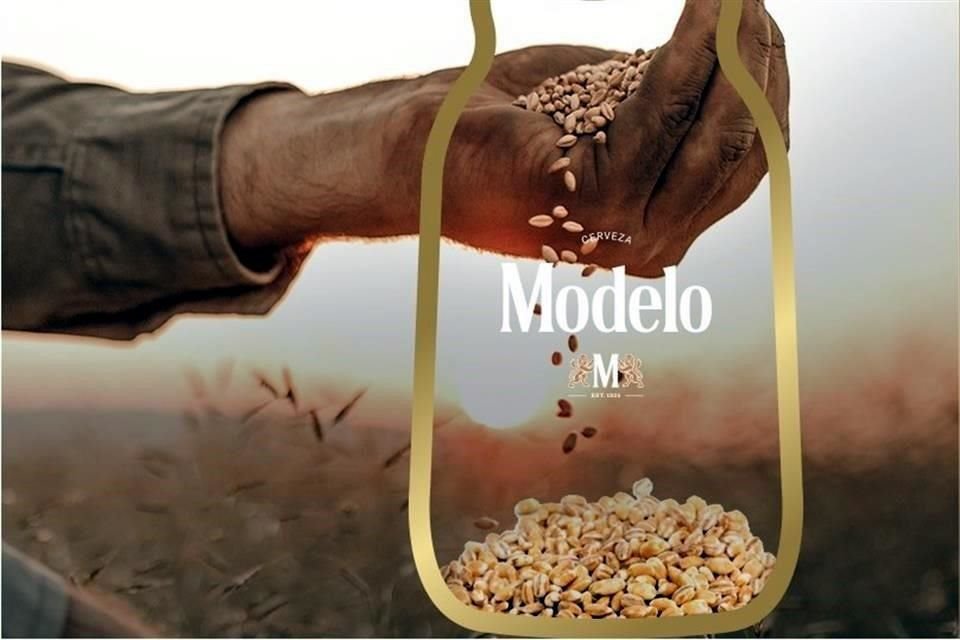Según la empresa, la compra de cebada se realizó con el fin de apoyar a los agricultores en esta cosecha.