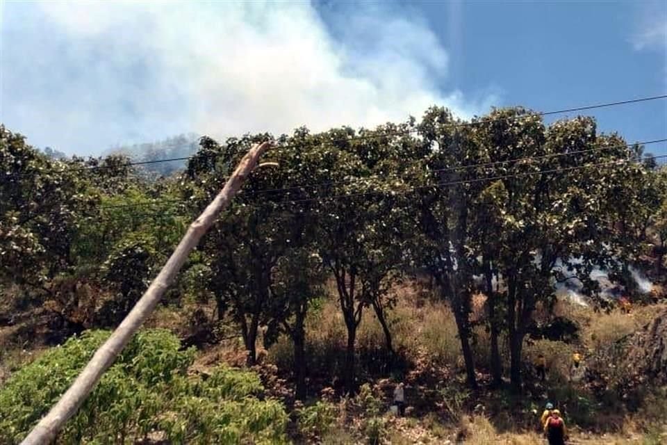Se informó que hay 27 combatientes forestales tratando de controlar las llamas.