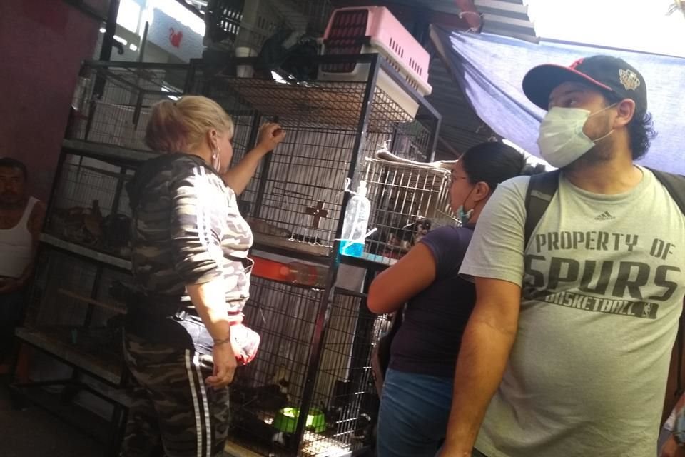 Incluso, negocios que venden mascotas volvieron a abrir, como si no hubiera operativo de autoridades municipales.