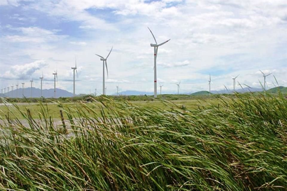 Para los expertos, la medida puede volver inviables algunos proyectos de energías renovables.