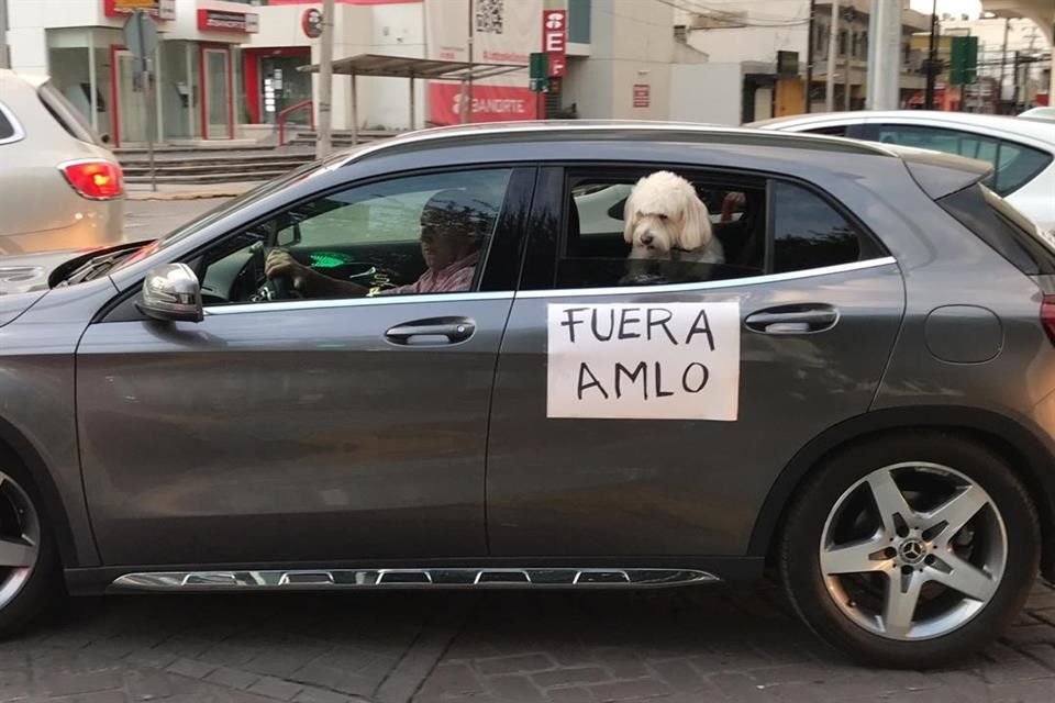 Otros llevaron a sus mascotas.