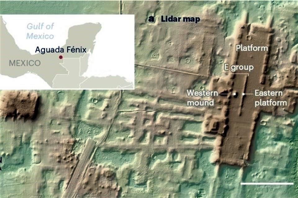 Aguada Fénix consiste en una plataforma elevada entre 10 y 15 metros, que se extiende 1,4 kilómetros de norte a sur.