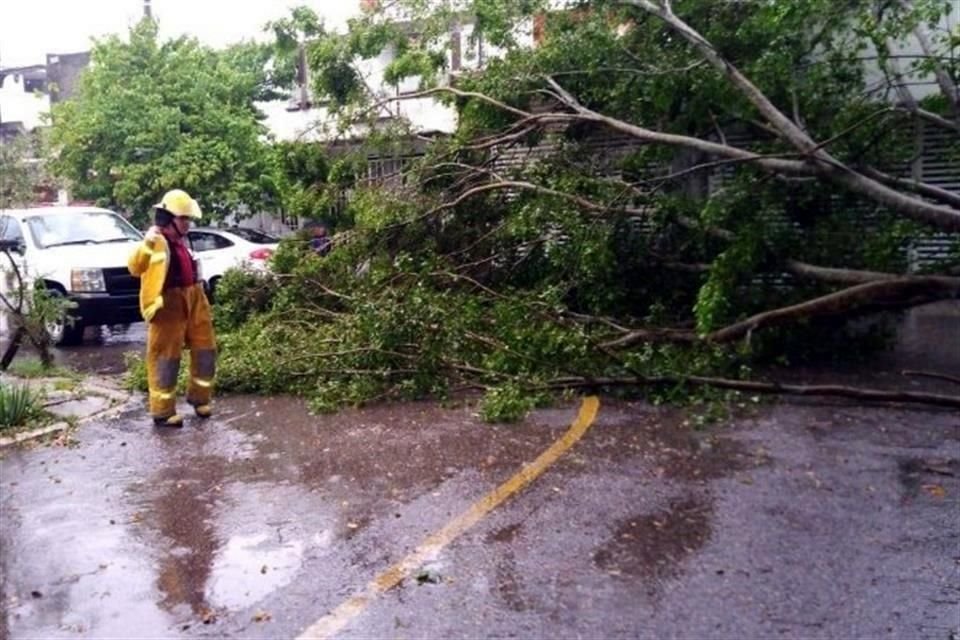 Protección Civil de Tabasco reportó daños menores en Cárdenas, Centro, Nacajuca, Jalapa, Tacotalpa, Teapa y Centla, en este último con la evacuación de 75 personas.