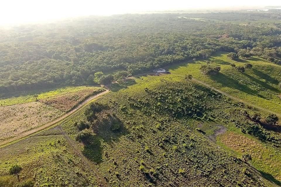 Localizado en Tabasco, cerca de la frontera con Guatemala, Aguada Fénix sería un sitio popular, ajeno a lo gobernantes.