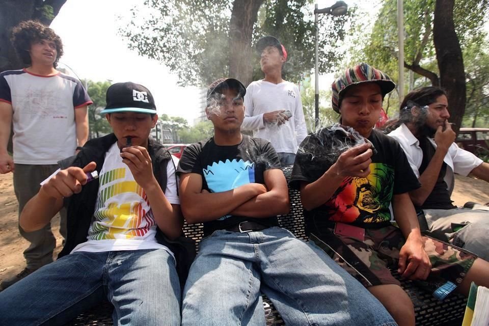 De acuerdo con el Consejo Estatal contra las Adicciones en Jalisco, la marihuana es la droga ilegal con el que se inicia el consumo de estas sustancias.
