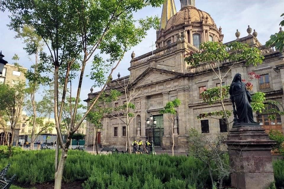 Así luce el Museo del Árbol en la Plaza de Armas.