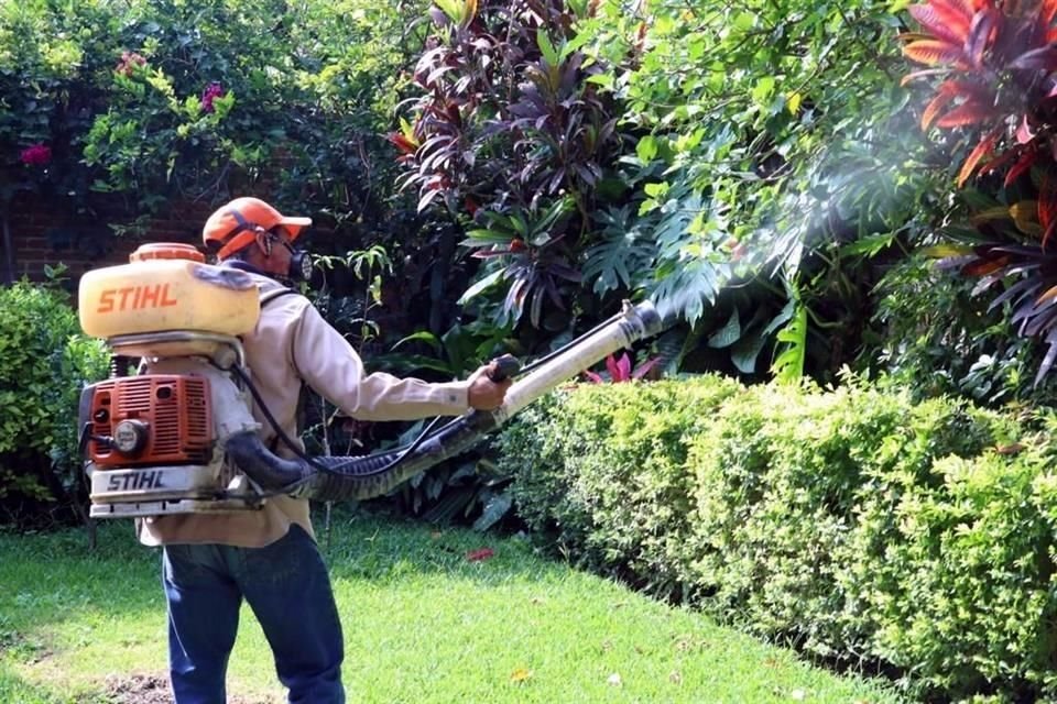 Autoridades hacen campañas de fumigación contra el mosco transmisor.