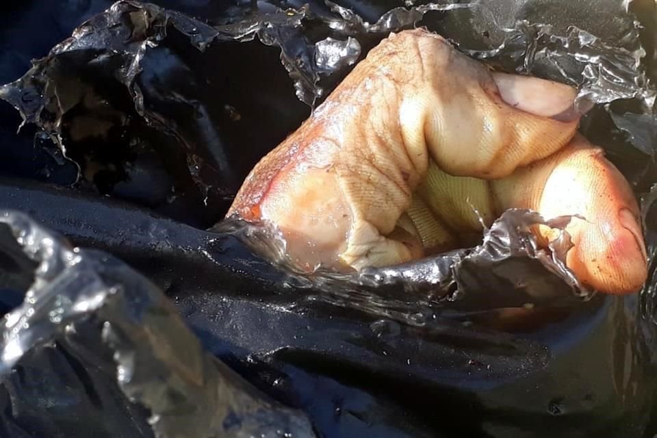 Dentro de bolsas negras fueron localizados restos humanos esta mañana, en la Colonia San Pablo de las Salinas, en el Municipio de Tultitlán.