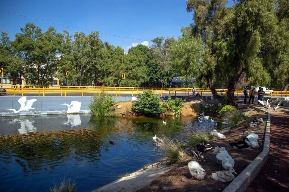 El Canal Nacional ha sido rehabilitado y ahora fauna ha vuelto.