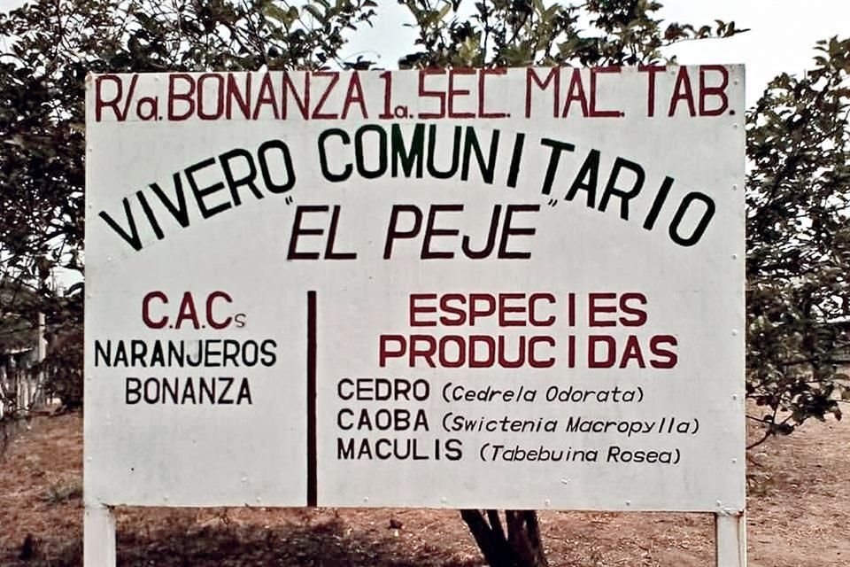 En Macuspana, Tabasco, donde nació el mandatario, hay por los menos dos Comunidades de Aprendizaje Campesino (CAC), como se le llama a los grupos de 25 campesinos organizados del programa.