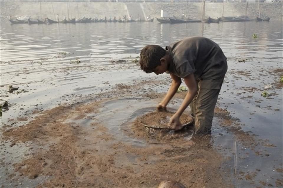 Alrededor de uno de cada tres niños del mundo está intoxicado por plomo, que puede causar daños irreparables al cerebro, advierte ONU.