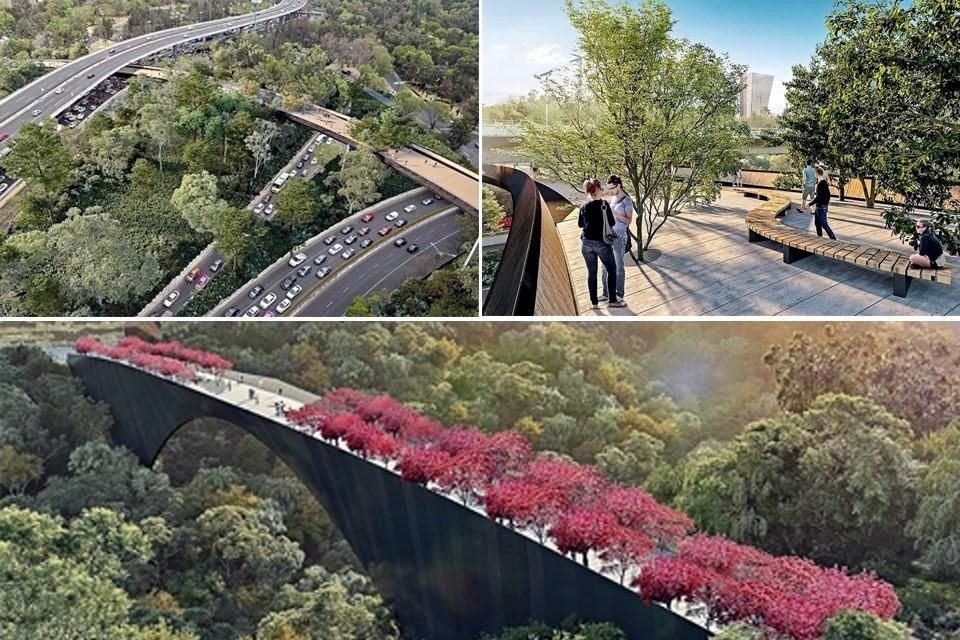 El arquitecto Benjamín Romano iba a ser el artífice de las obras para conectar las cuatro secciones del Bosque de Chapultepec, sin talar un solo árbol.