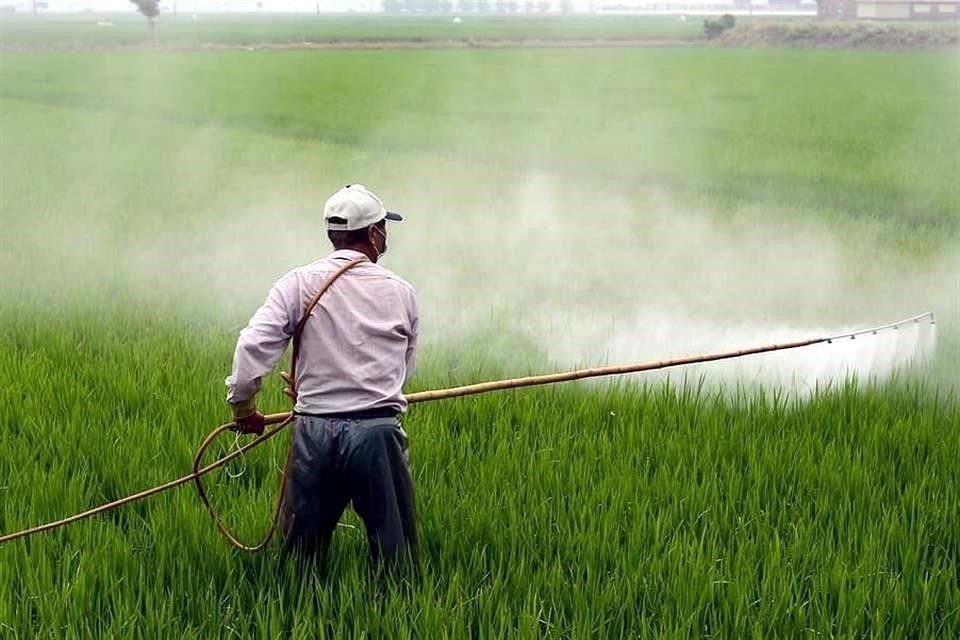 El uso del glifosato desató una polémica entre los titulares de la Semarnat y de la Sader.  