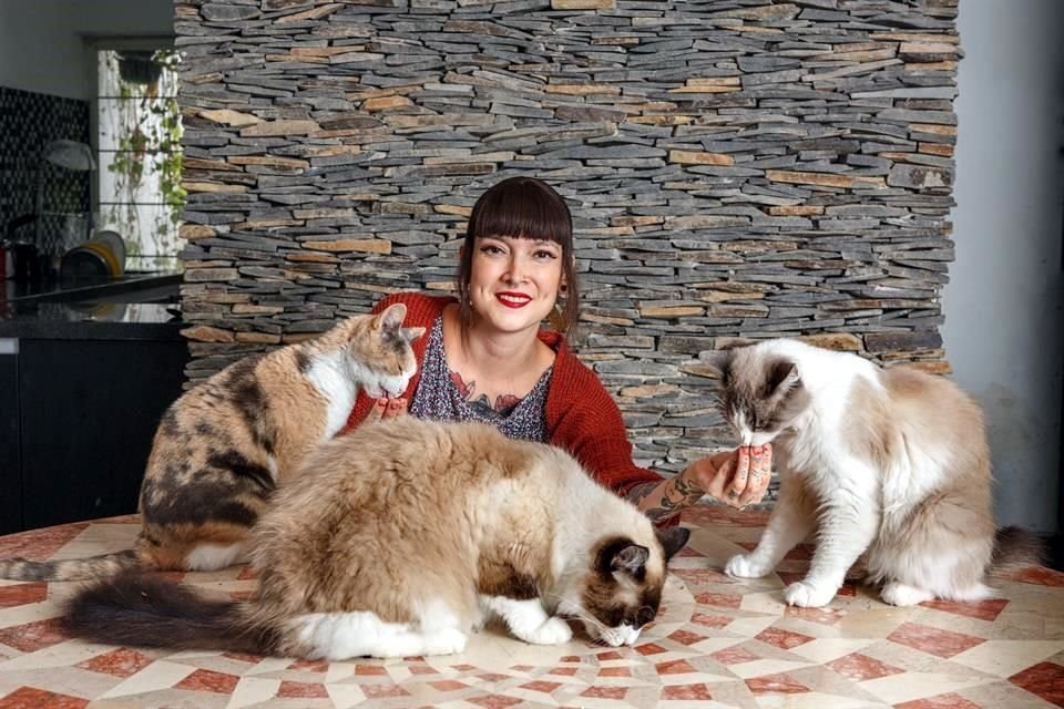 Clara Vázquez con sus gatos 'Gomita', 'Ichiro' y 'Ludo'. Ella es tatuadora de profesión y adora a los mininos, por lo que los rescata y ofrece su casa como puente previo a la adopción.