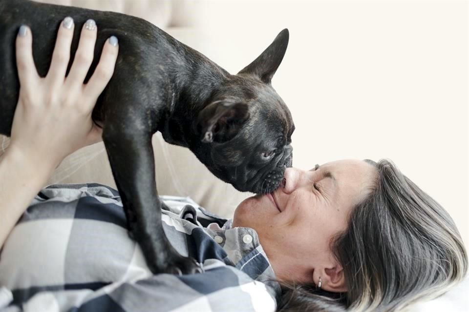 El número de perros vendidos en el país aumentó de forma 'espectacular' en un 20 por ciento en 2020, según la asociación canina Deutsche Hundewesen (VDH).