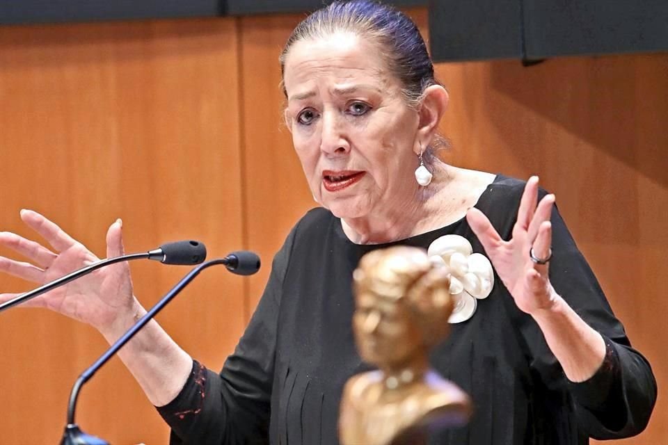 En el 2018 María Elena Chapa recibió en el Senado la medalla Elvia Carrillo Puerto por incidir y destacarse en la lucha por los derechos de las mujeres.
