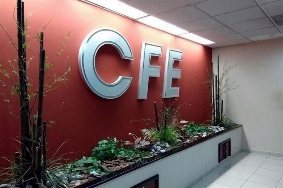 CFE no proporcionó información que justificara por qué no otorgó las partidas a los concursantes que ofertaron el precio menor