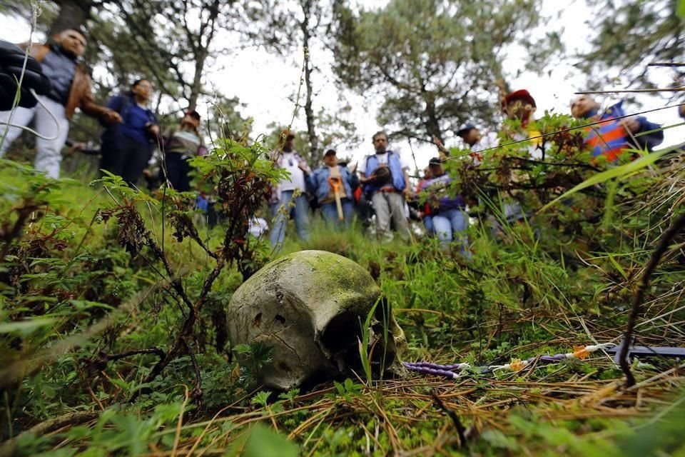 En la zona boscosa, el grupo encontró un cráneo y un hueso maxilar inferior.