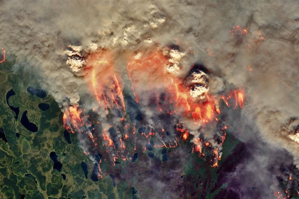 Las emisiones por incendios forestales en el Ártico establecieron un nuevo récord este verano, advierten científicos.