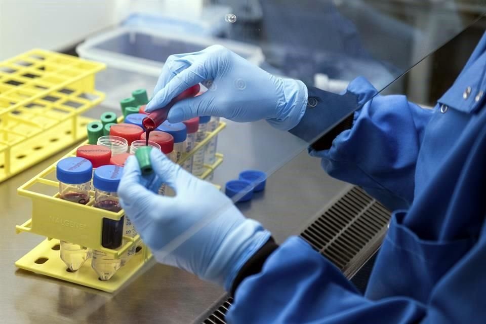 La farmacéutica británica dijo el sábado que había recibido la autorización de reguladores de seguridad de salud para retomar las pruebas.