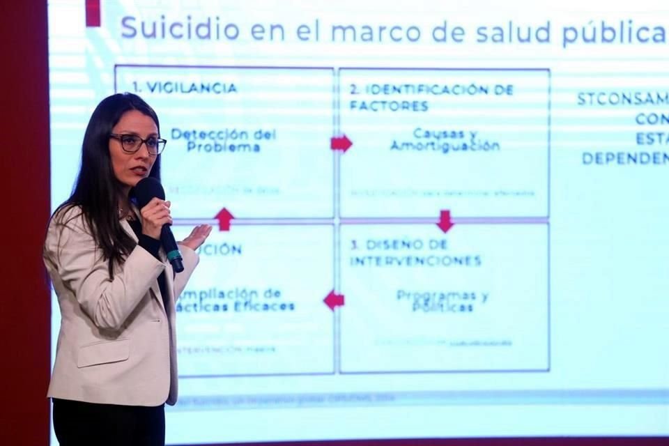 Diana Iris Tejadilla Orozco, directora de Normatividad y Coordinación Institucional del Secretariado Técnico del Consejo Nacional de Salud Mental.