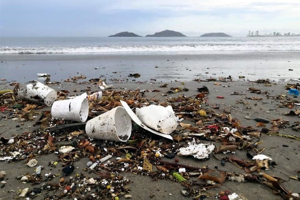 Una campaña liderada por Oceana México busca que el Senado legisle para reducir la contaminación por plásticos de un solo uso.