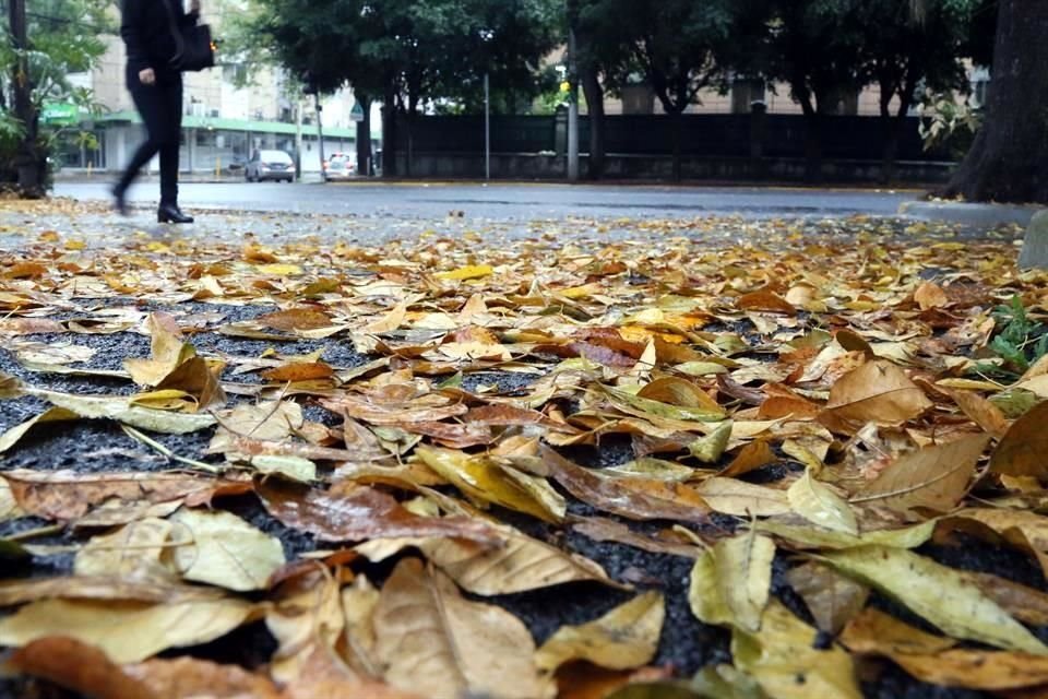 A partir de este momento, las noches se irán haciendo más largas que el día.