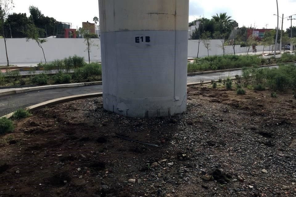 Sólo quedaron agujeros en la tierra donde habían plantado las enredaderas.