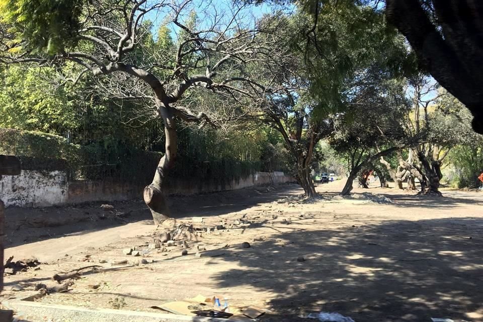 Con el cambio a otro predio se evitaría el daño al Cerro del Tajo.