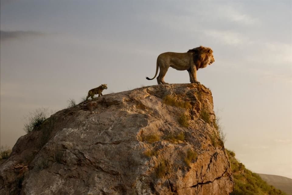 La secuela de la versión live action de 'El Rey León' contará el origen del personaje Mufasa.